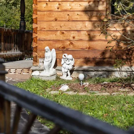 In Austria Near Slopes Daire Mittersill